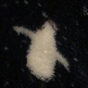 Meet your Posher, Paige